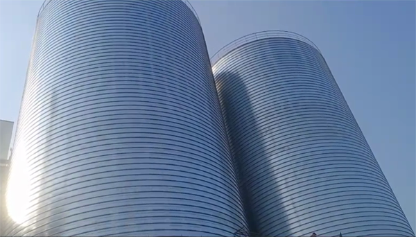 白城2座混凝土高架卷板仓